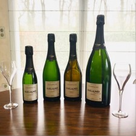Champagne